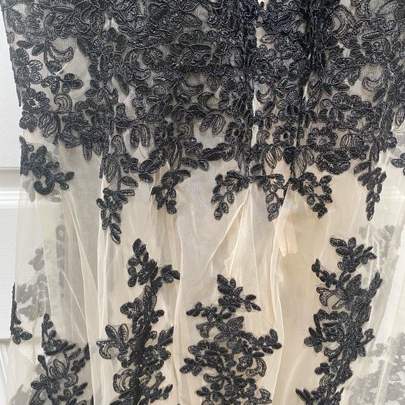 Black Lace and Nude Tulle Gown - Picture 5 of 7